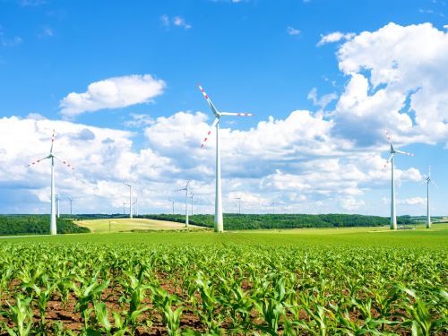 Sustainable Transparent Supply Chains